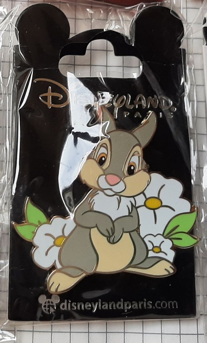 Pins Disney disneyland panpan