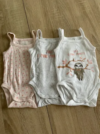 Lot 3 bodies