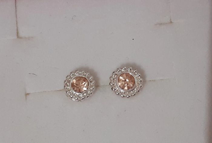 Boucle d'oreille argenté et rose saumon