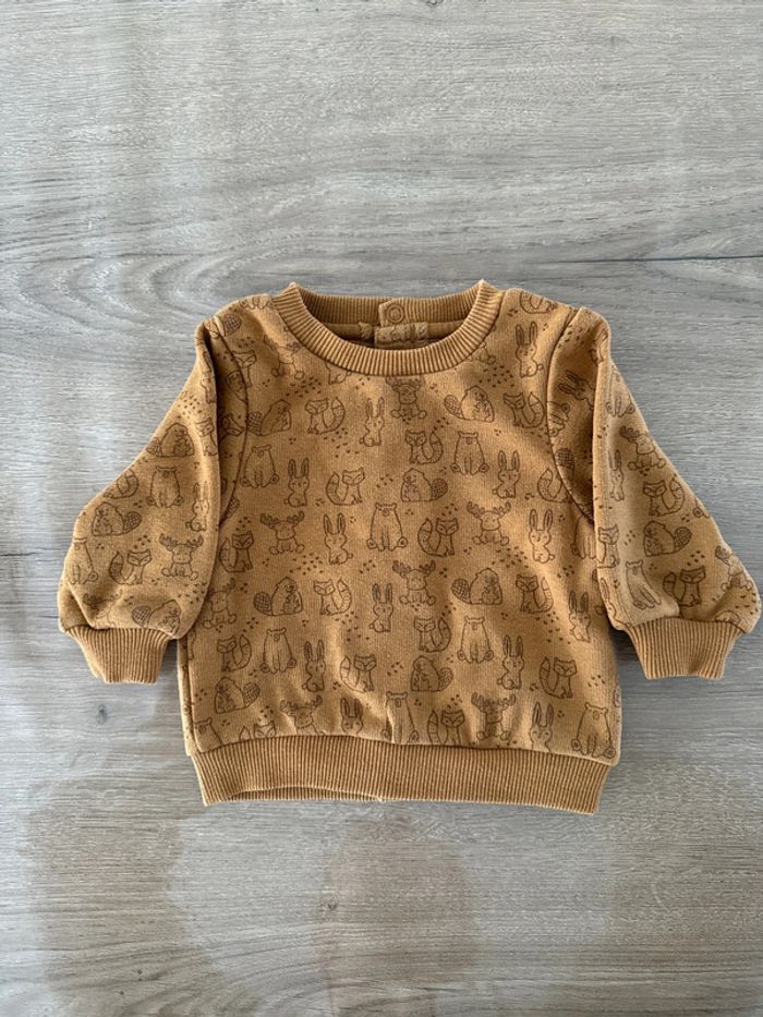 Pull tape à l’œil