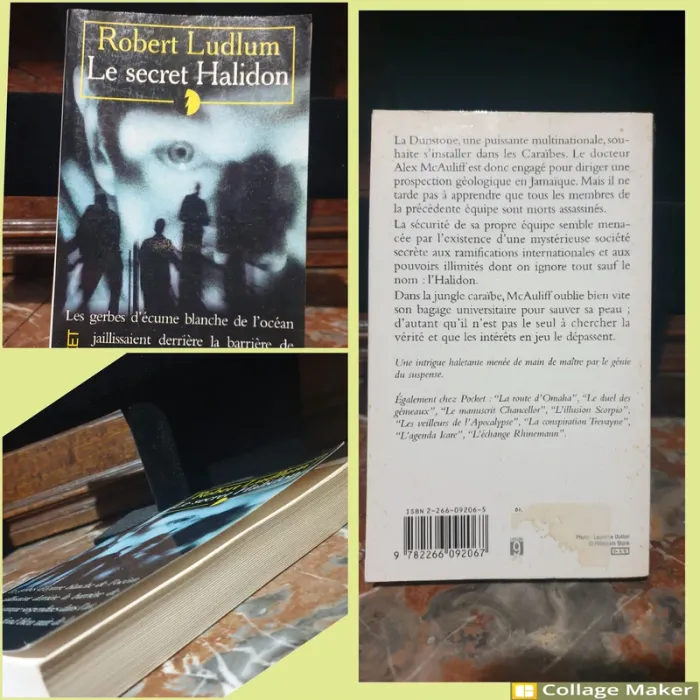 📚 Robert Ludlum - 9 romans 📚 - photo numéro 8