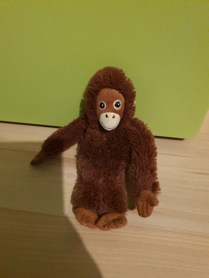 Singe, éléphant, pirates - photo numéro 2