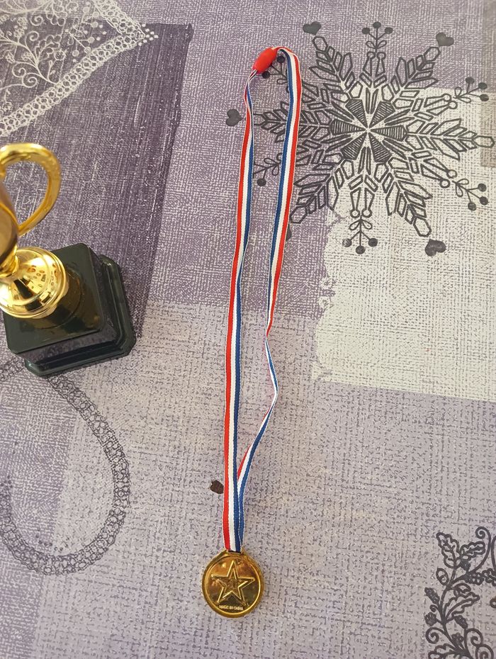 Coupe plus médaille - photo numéro 6