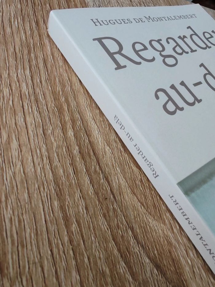 Hugues de Montalembert 🌸 Regarder au-delà - photo numéro 3