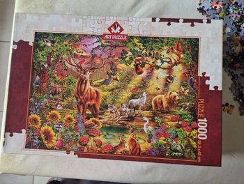 Puzzle 1000 pièces.  Art puzzle,  Ciro Marchetti. Dd1131