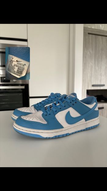 Dunk bleu