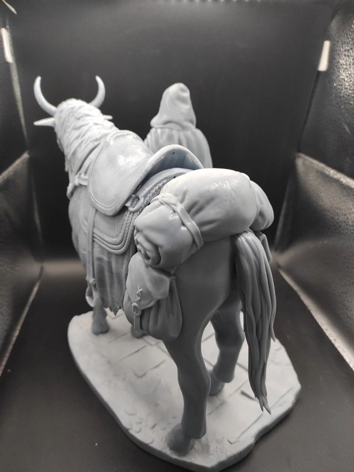 Figurine Mélina et Torrent Elden Ring - photo numéro 5