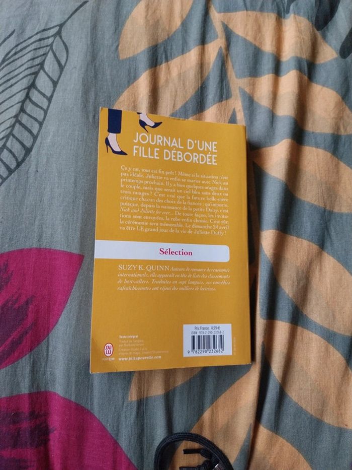 Livre journal d'une fille deborde - photo numéro 2