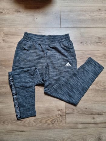 jogging gris adidas