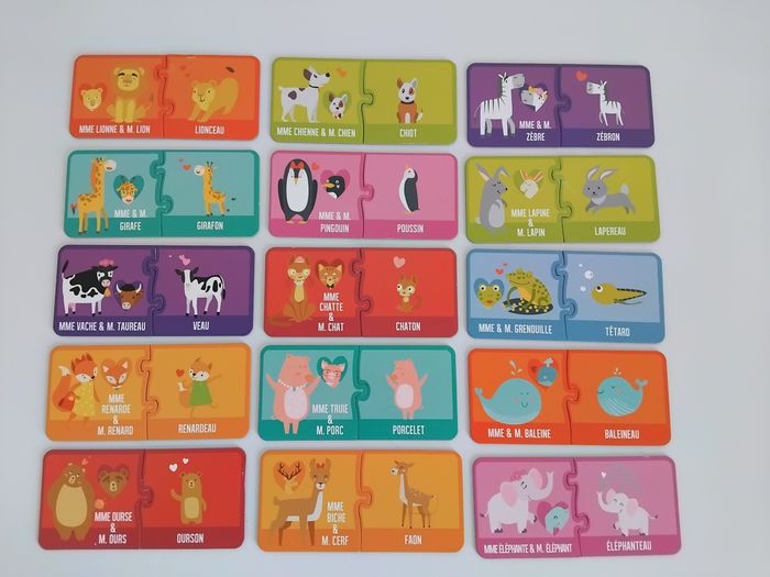 Jeu Cartes Animaux Jeux 2 Mômes Educatif Complet 🦒🦓 - photo numéro 2