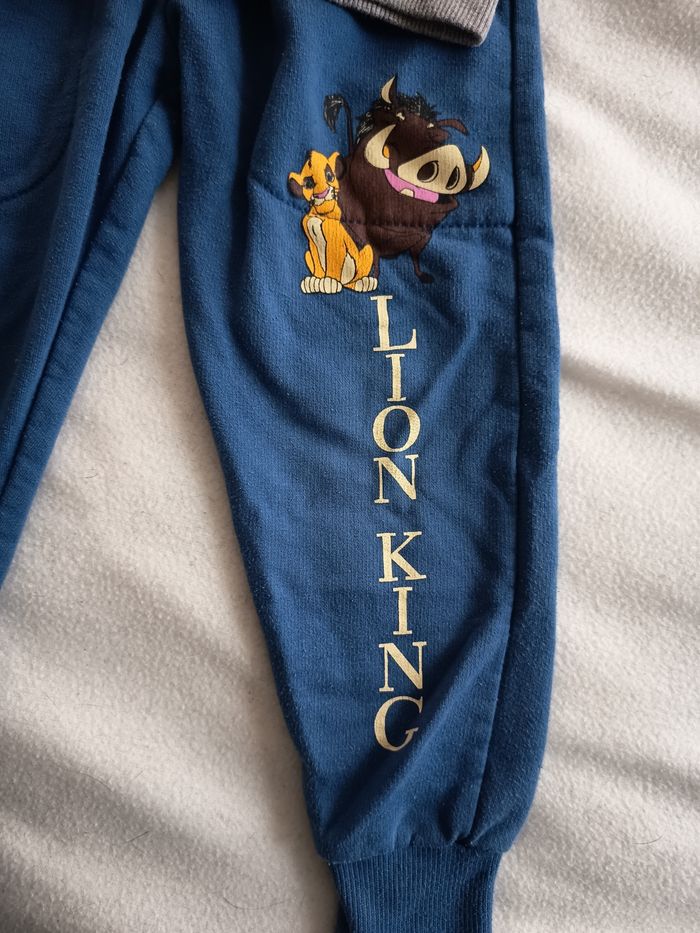 Ensemble roi lion - photo numéro 3