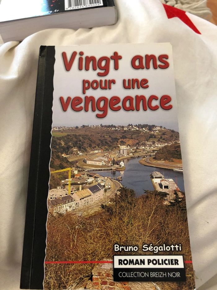 20 ans pour une vengeance - photo numéro 2