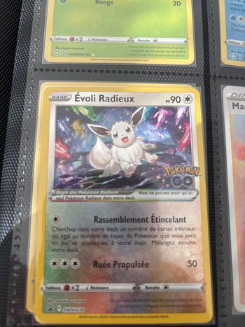 Evoli radieux pogo