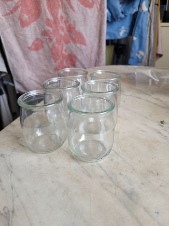 6 pots à yaourt en verre