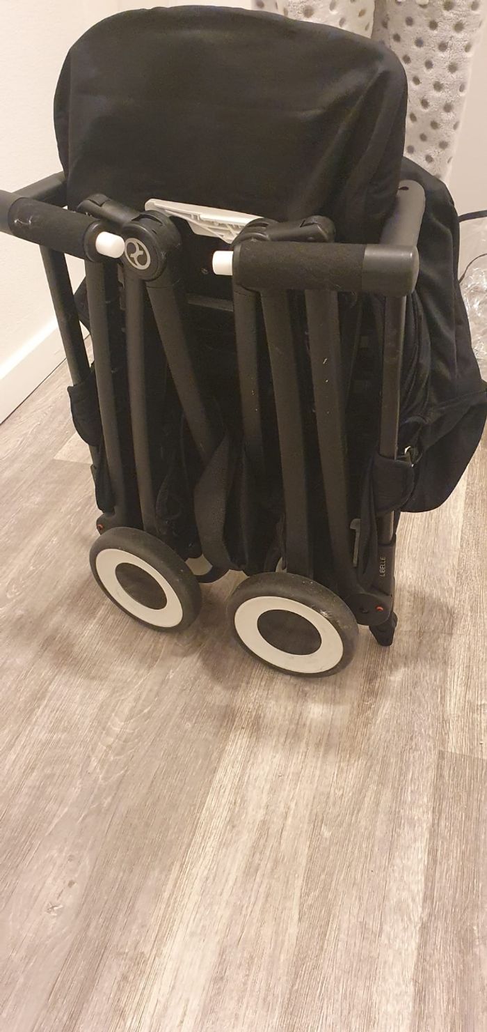 Libelle - photo numéro 4