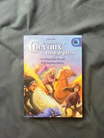 Le club des chevaux magiques
