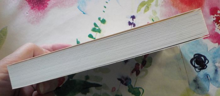 UNE ENQUETE DE MARY LESTER N°23 LE RENARD DES GREVES T2 de Jean FAILLER - photo numéro 5