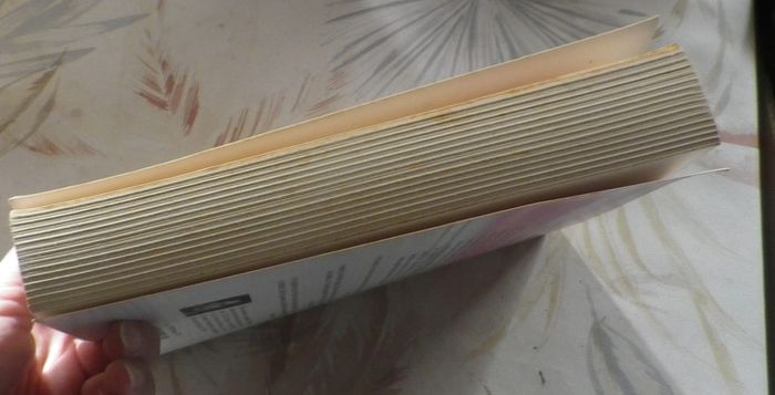 La dernière promesse d'Ellen Sussman Ed. Michel Lafon - photo numéro 4