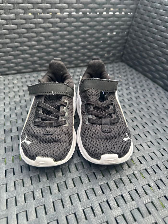 Puma bébé - photo numéro 6