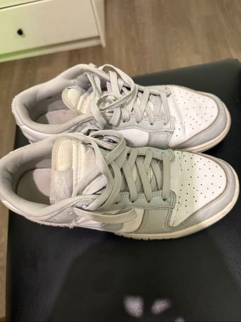 Dunk gris