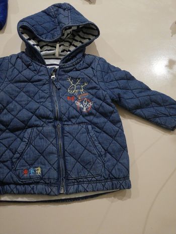 Veste à capuche garçon 9 mois orchestra