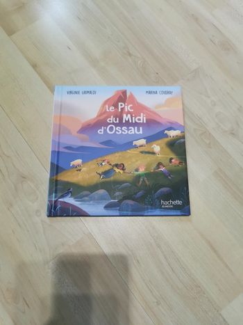 Livre le pic du midi d'ossau