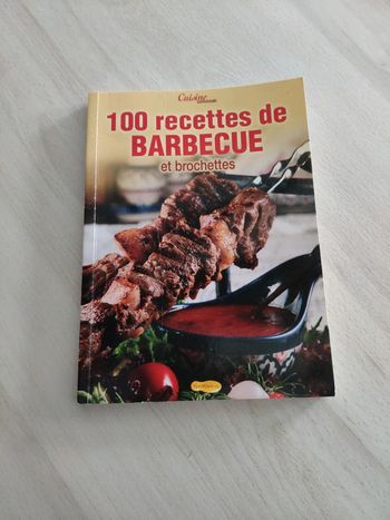 Livre 100 recettes de barbecue et brochettes cuisine conviviale