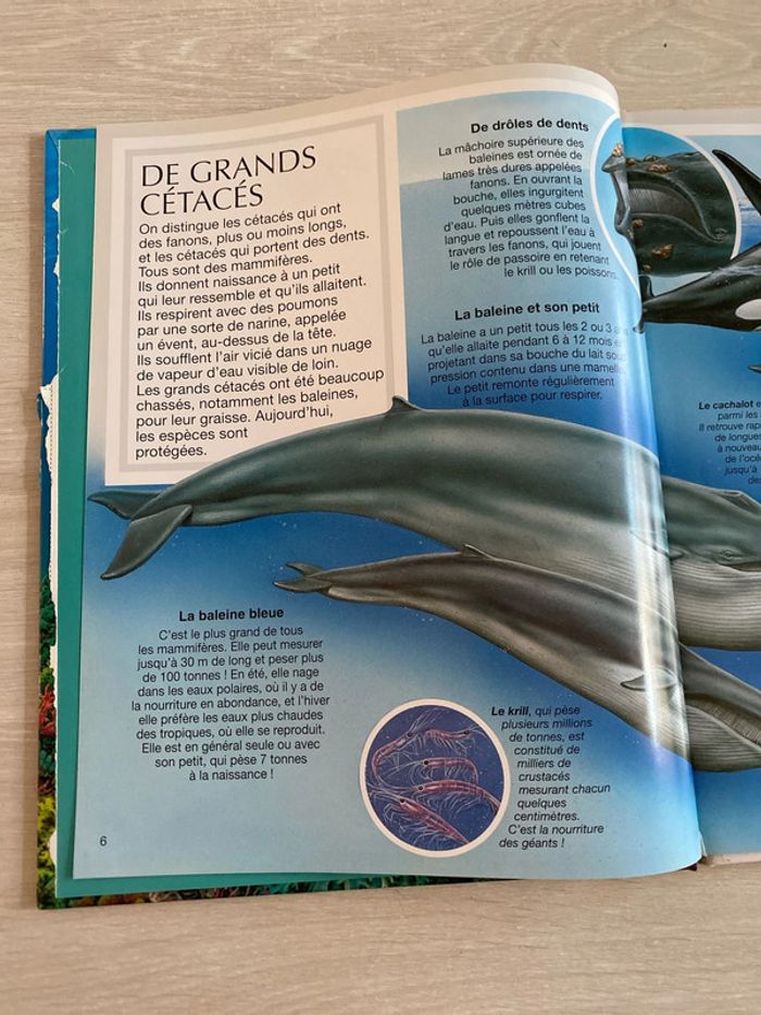 Livre les animaux de la mer Fleurus - photo numéro 5