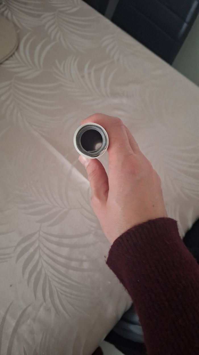 Lot de 2 toiles/ affiches imprimé fleurs noir et blanc - photo numéro 7