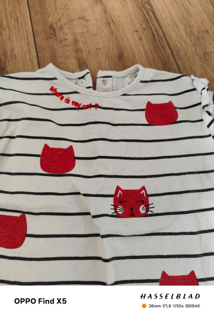 Tee-shirt chat - photo numéro 2