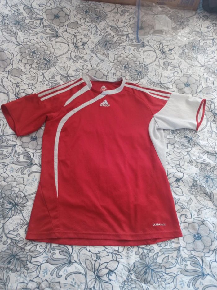 Tee short adidas