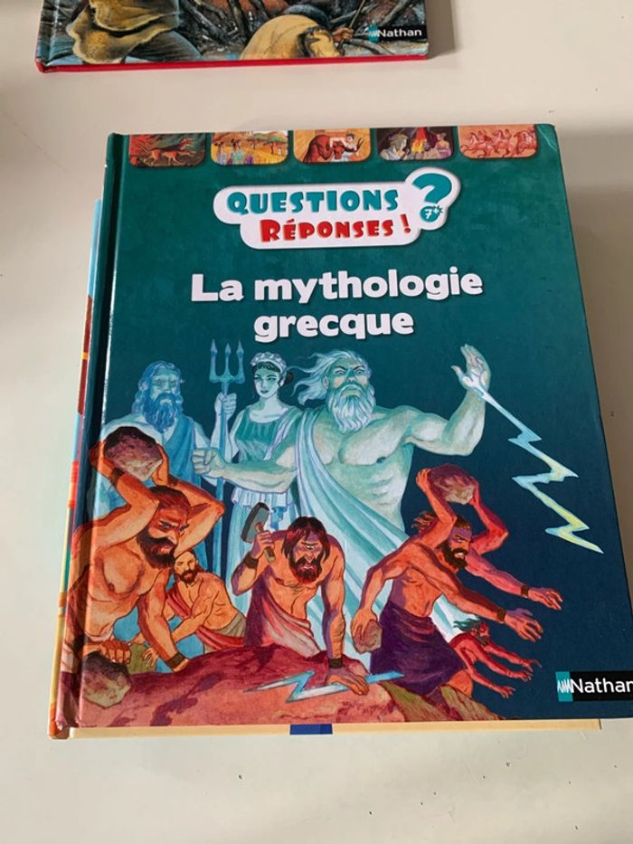 Livres questions réponses - photo numéro 4