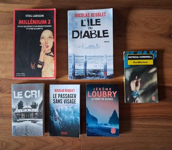 Lot 6 romans dont 3 de Nicolas Beuglet