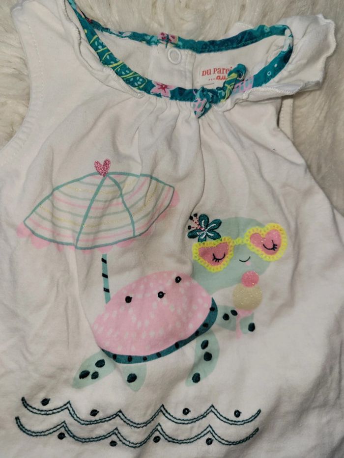 Ensemble tortue dpam 24m - photo numéro 2