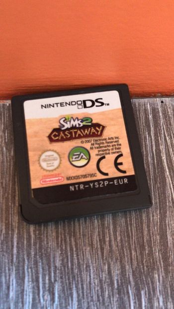 Jeu nintendo DS Sim2 Castaway