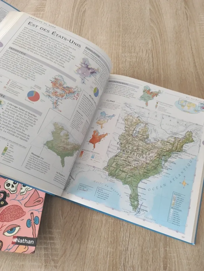Encyclopédie junior livre découverte - photo numéro 9