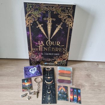 La cour des ténèbres + Goodies 