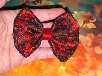 Pince à cheveux rouge et noir 