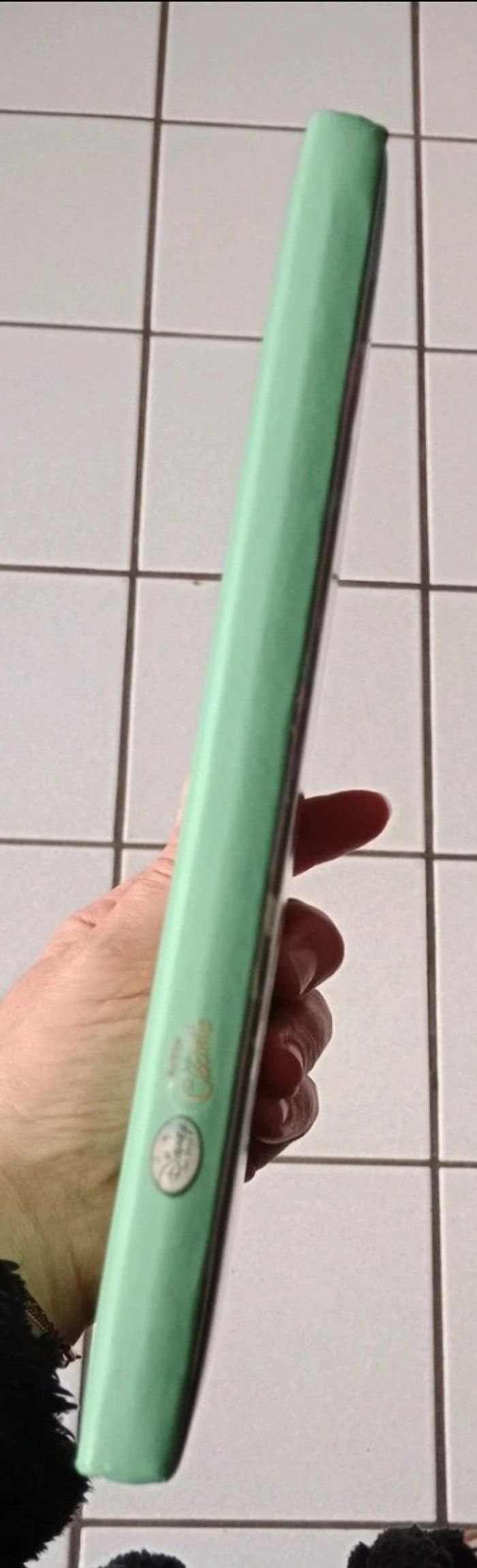 la fée clochette - photo numéro 2