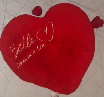 Grand Coussin "belle comme un coeur"