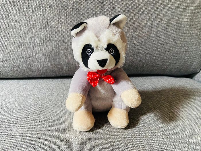 Peluche Raton Laveur
