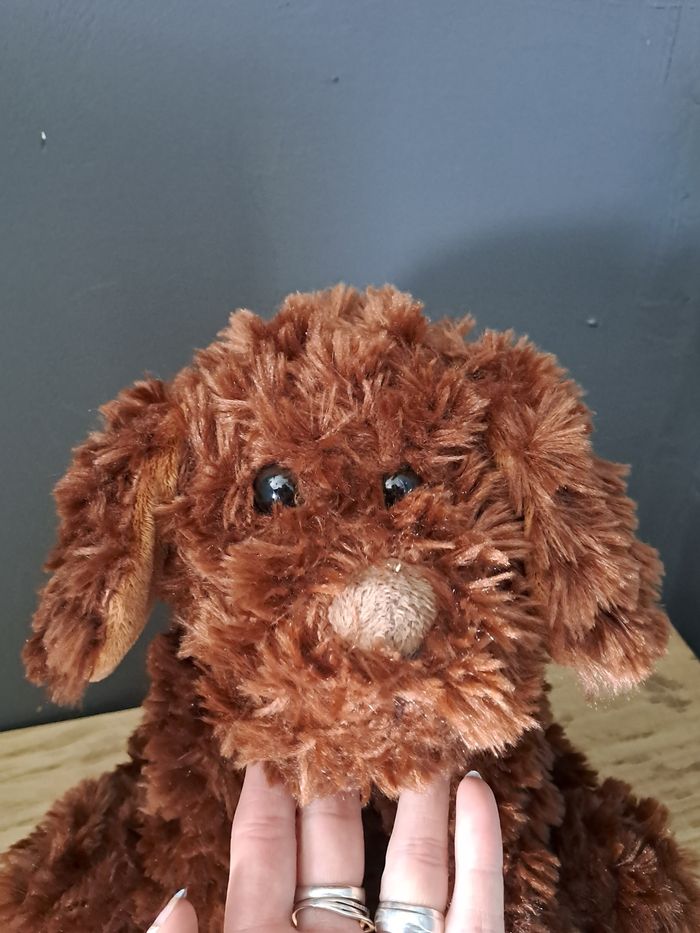 Chien brun toux doux - photo numéro 2