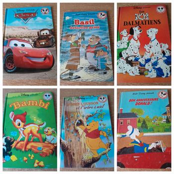 Lot livre disney