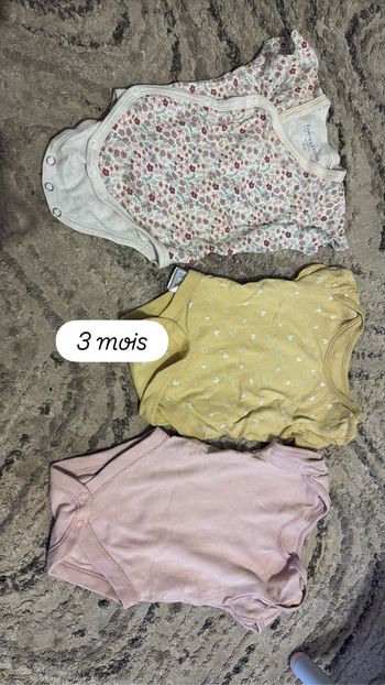 3 bodies manches courtes