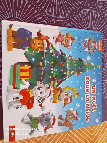 Livre pat patrouille