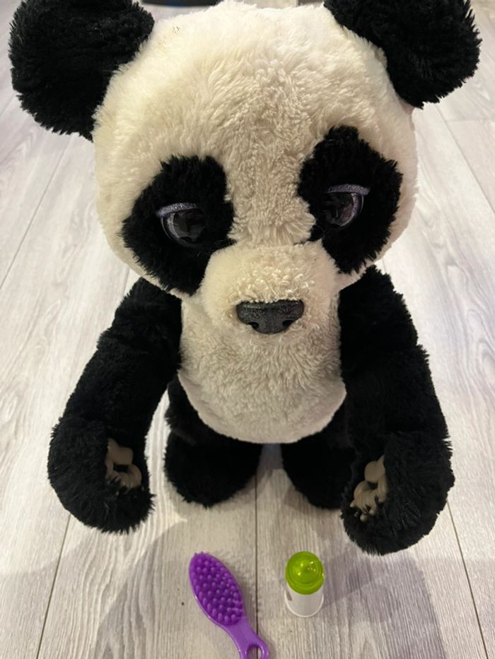 Plum le panda - photo numéro 2