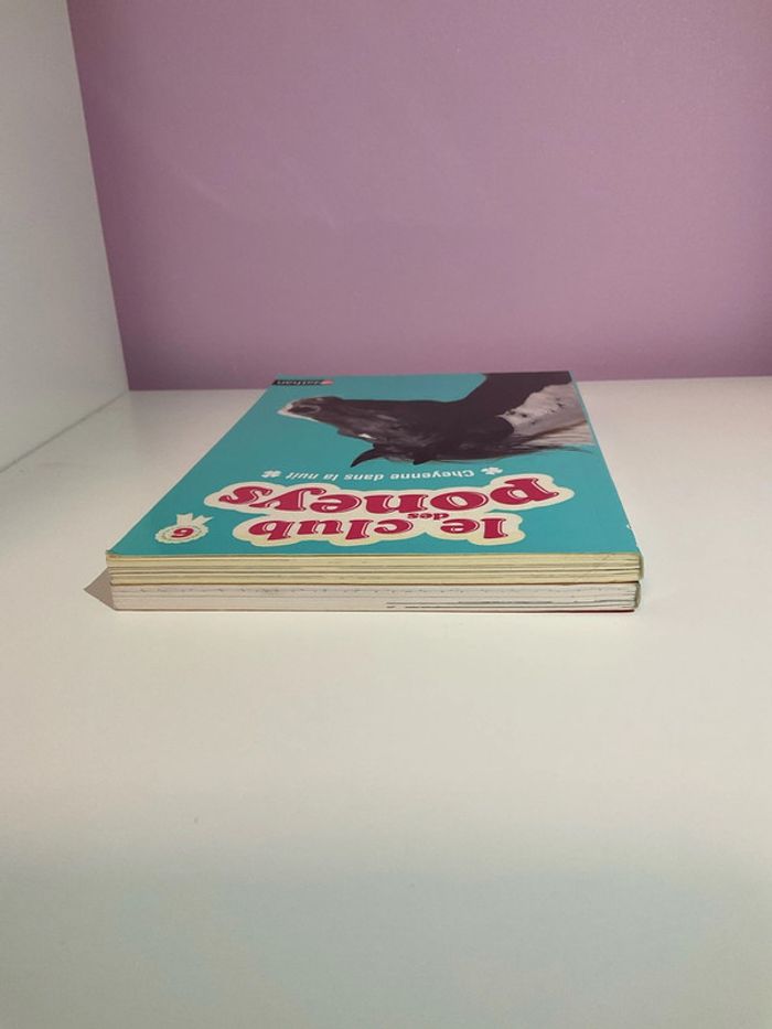 Lot livres collection Le club des poneys (Tomes 4 et 6) - photo numéro 6