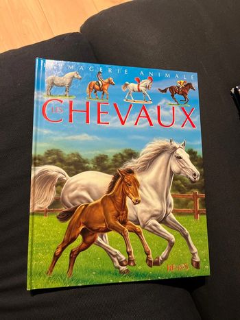 Livre pour enfants la grande imagerie fleurus les chevaux
