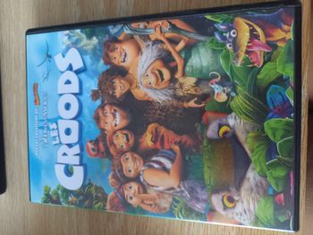 Les Croods - Excellent état