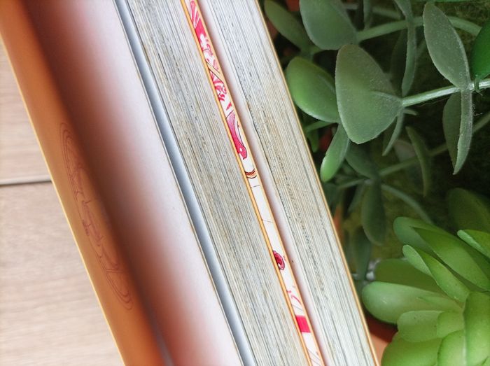 Lot 2 mangas card captor Sakura numéro 11 et 12 pika - photo numéro 6